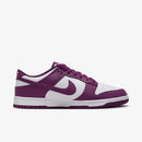 Nike Dunk Low Retro "Viotech"