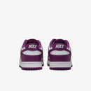 Nike Dunk Low Retro "Viotech"